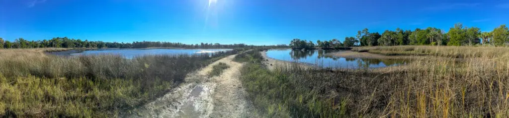 Redfish Hole Trail in Crystal River Preserve State Park