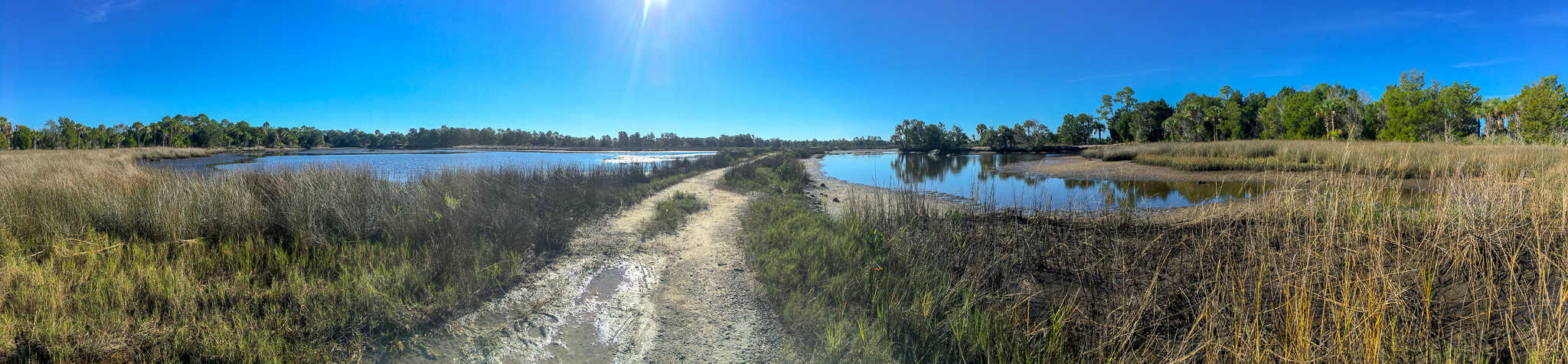 Hiking Crystal River Redfish Hole Trail in Crystal River Preserve State Park