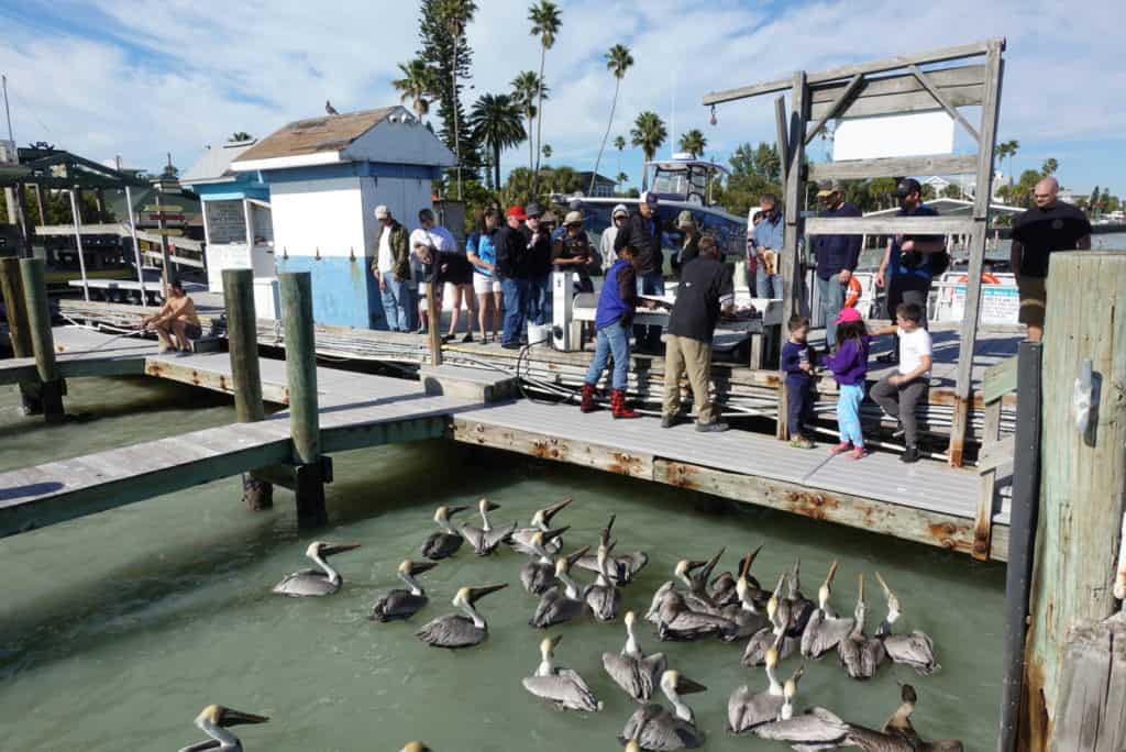 cleaning fish at St. Pete beach