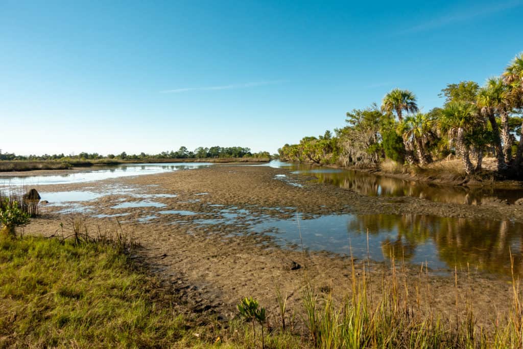 Crystal River FL Redfish Hole Trail