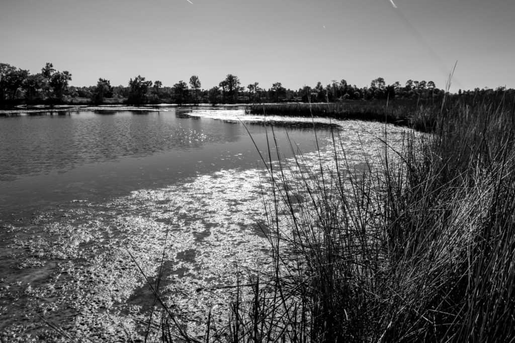 Redfish Hole Trail in Crystal River Florida