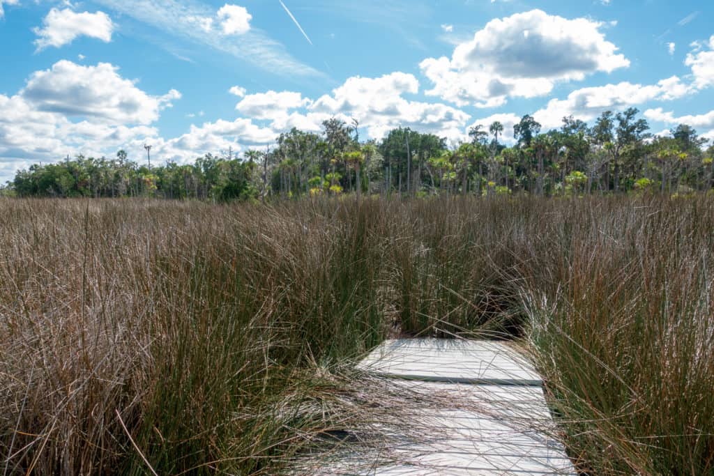 Dock along Dixie Shores Lake Loop Trail