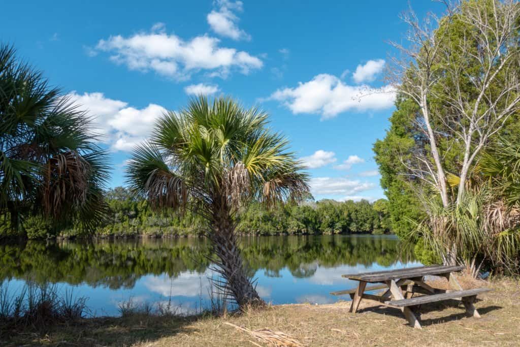 Picnic table along the Crystal Cove Trail in Crystal River Florida