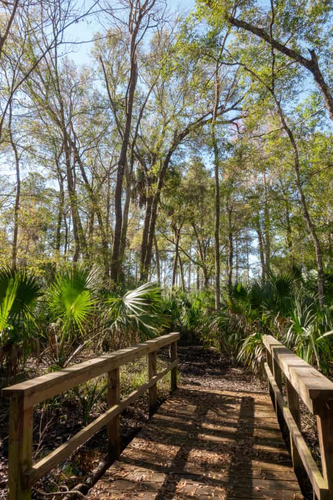 Eco-Walk Loop Trail in Crystal River FL
