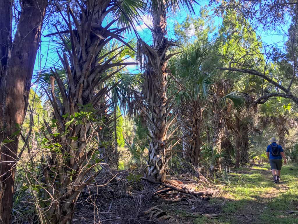 Crystal River FL Trail