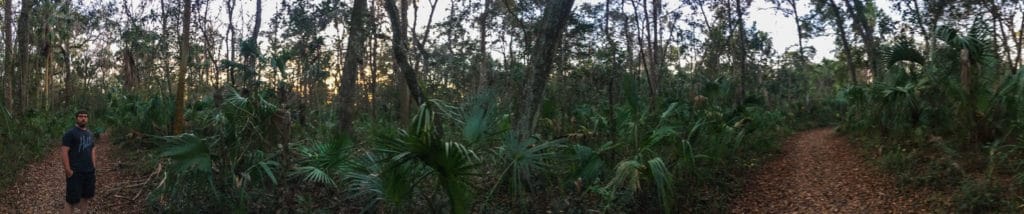 Hiking at dusk along the Chuchhouse Hammock Trail in Crystal River FL