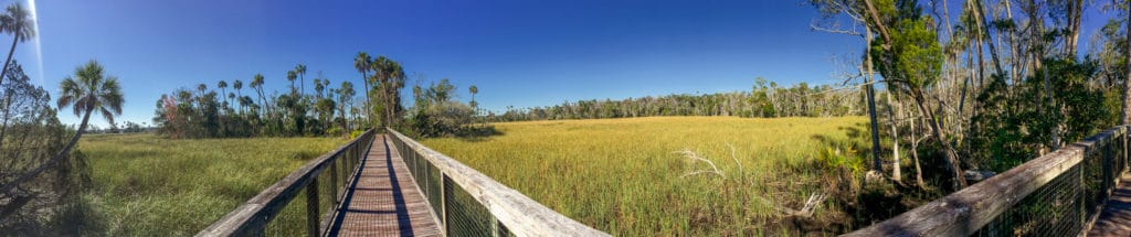 Chuchhouse Hammock Trail
