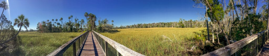 Boardwalk along the Chuchhouse Hammock Trail in Crystal River FL