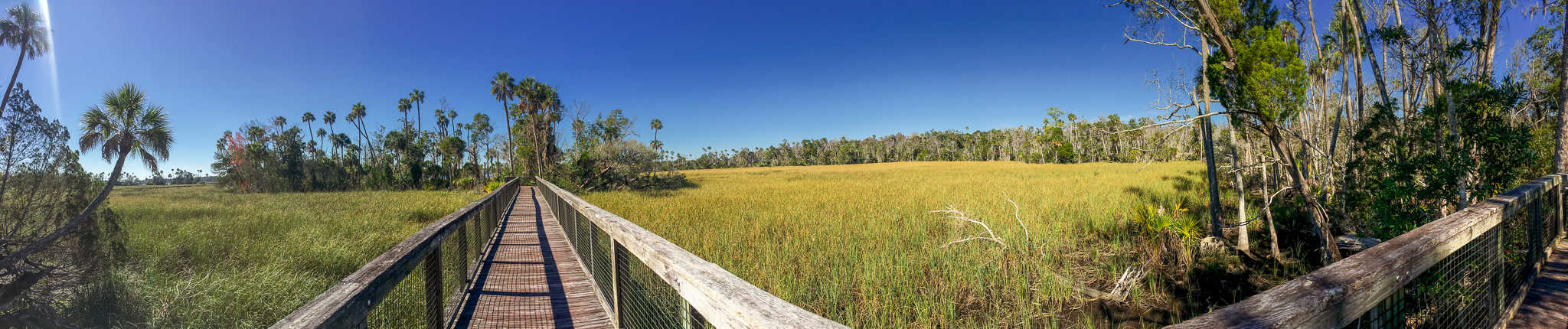 Hiking Crystal River Boardwalk along the Chuchhouse Hammock Trail in Crystal River FL