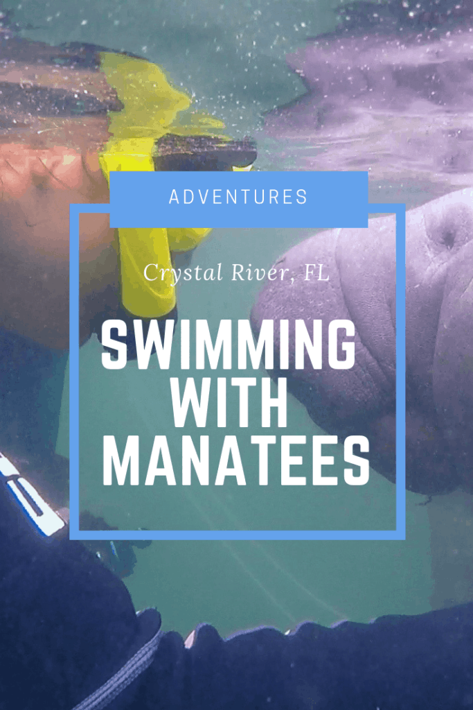 swimming with manatees in crystal river florida