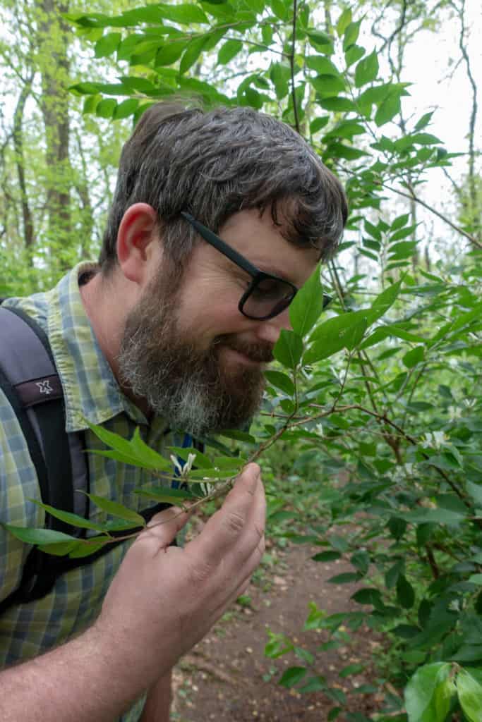 Barrett hiking through the Ijams Nature Center in Knoxville, Tennessee