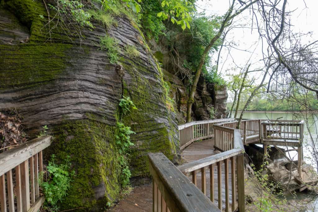 best-things-to-do-in-knoxville Hiking along the water at Ijams Nature Center in Knoxville, Tennessee