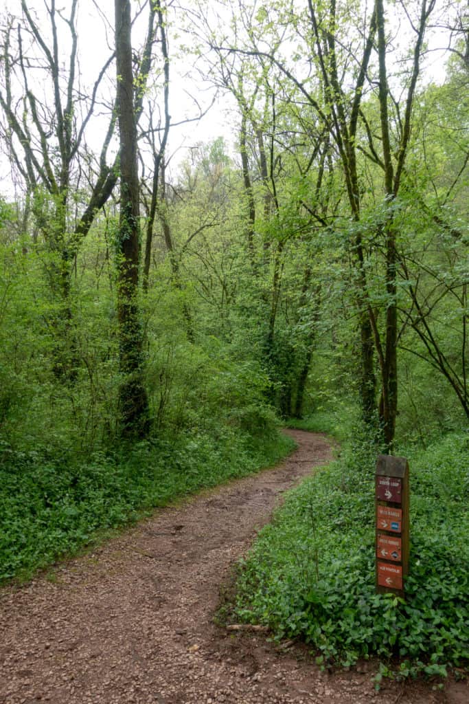 A hiking trail in the Ijams Nature Center in Knoxville, Tennessee