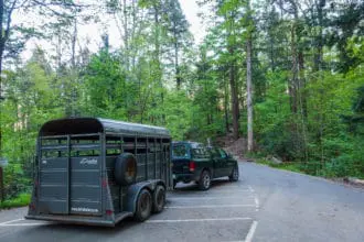 Smoky Mountain Llama Train