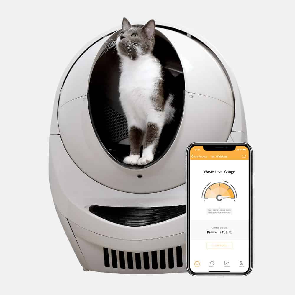 rv-must-haves A cat standing in the doorway of a Litter Robot