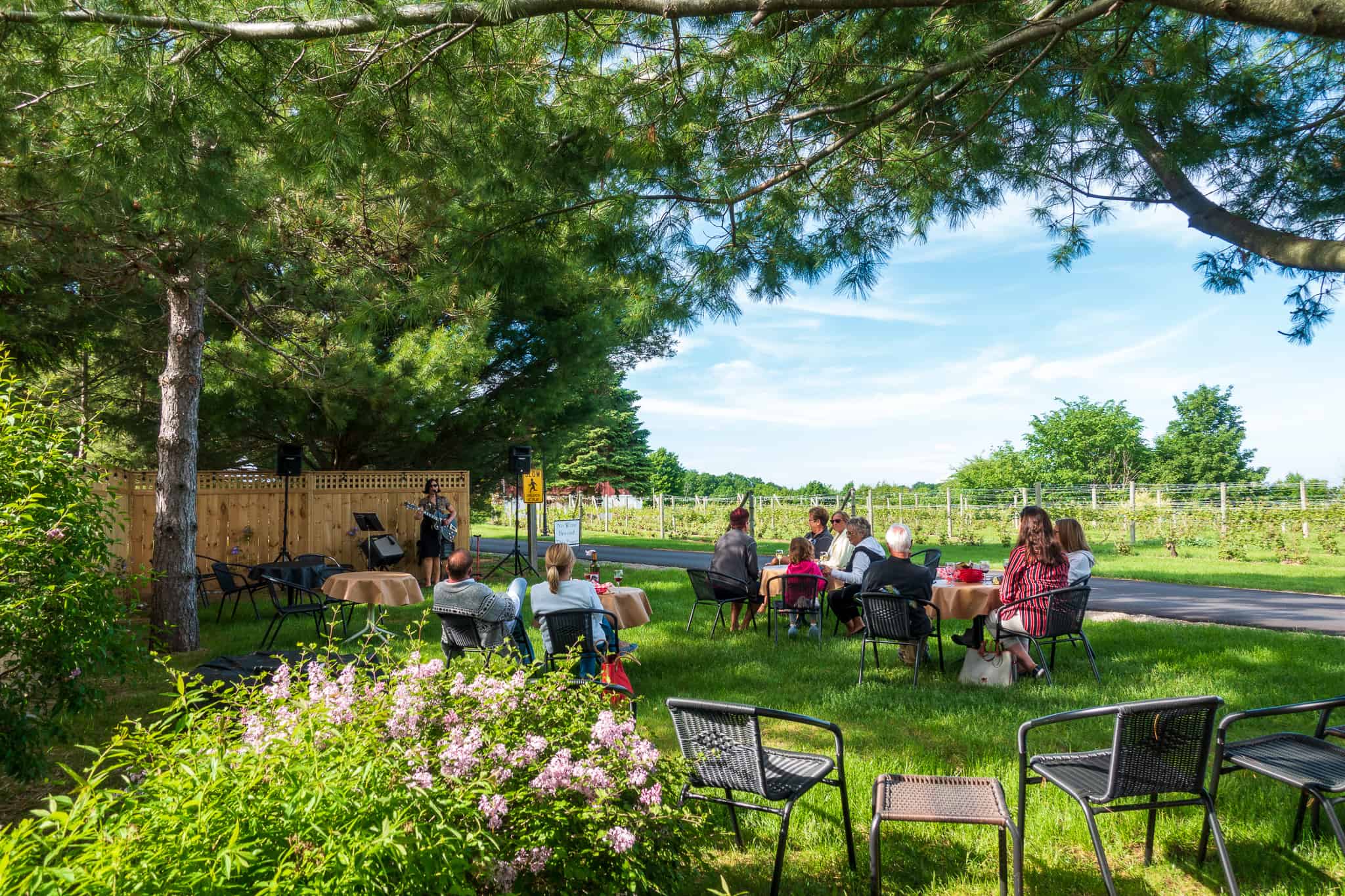 bike-n-ride traverse city Music in the Yard at Ciccone Vineyard & Winery