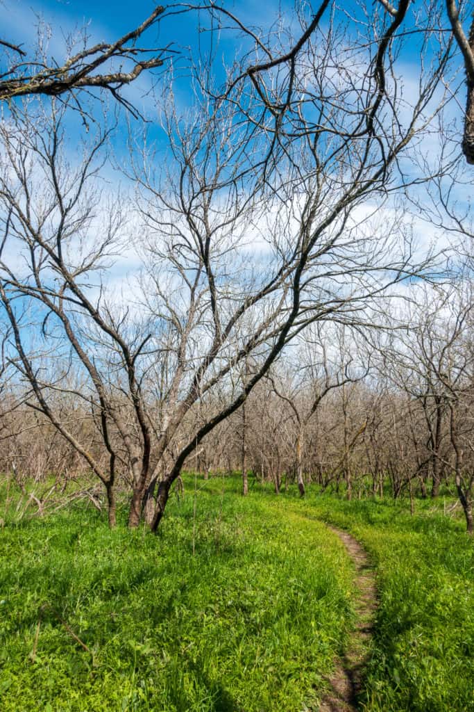 Hiking Trail at McKinney Falls State Park Austin tx