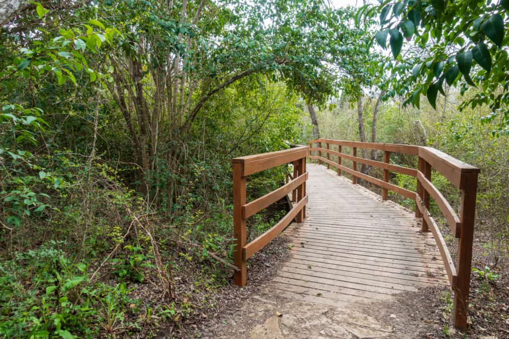 Hiking Trail at McKinney Falls State Park