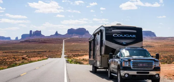 Cougar in Monument Valley