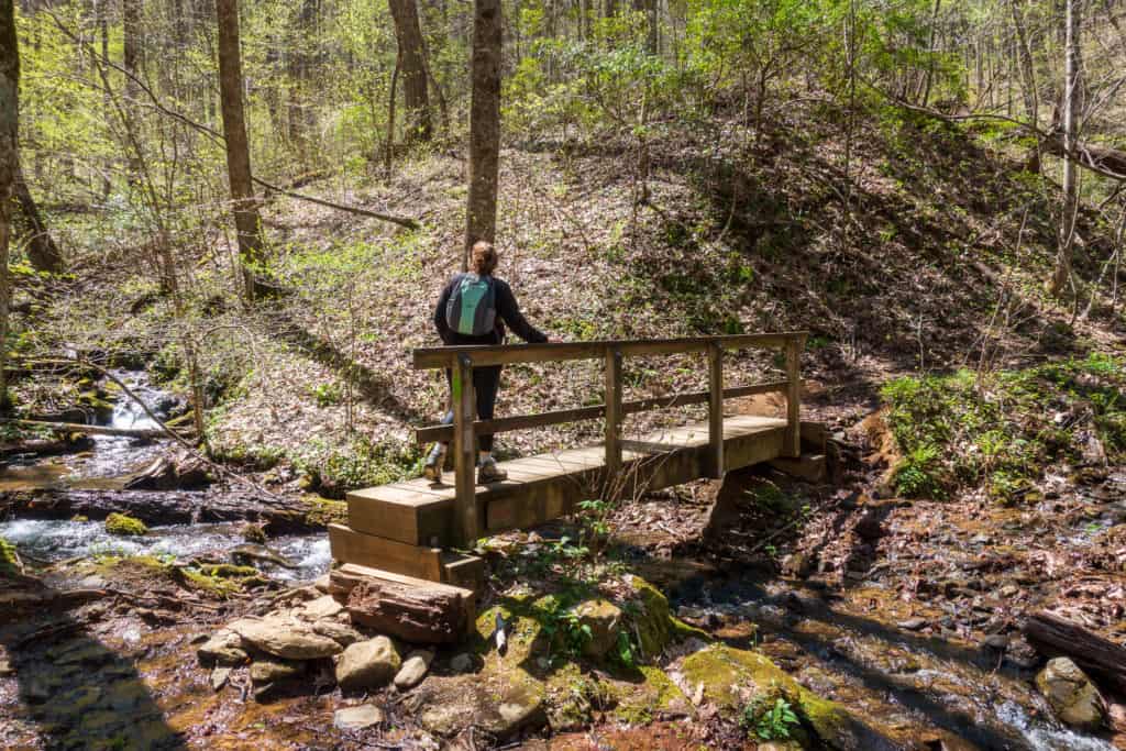 Vogel State Park Hiking