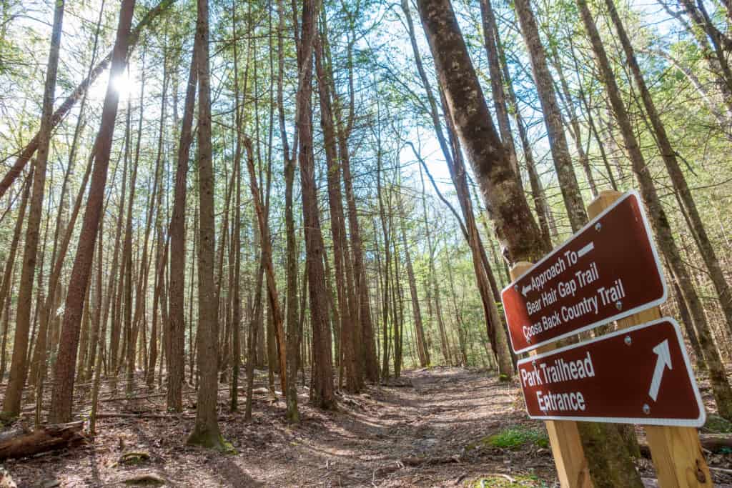 Vogel State Park Trails