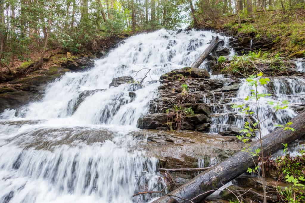 Vogel State Park Hiking Waterfall