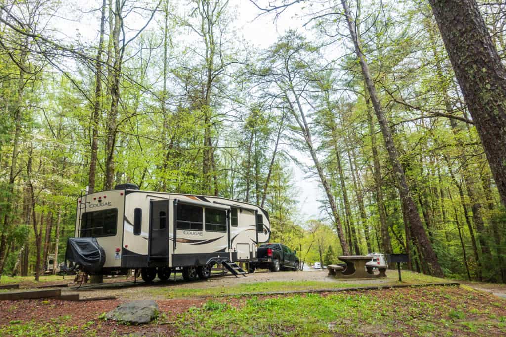 Vogel State Park Campsite in Blairsville, Georgia