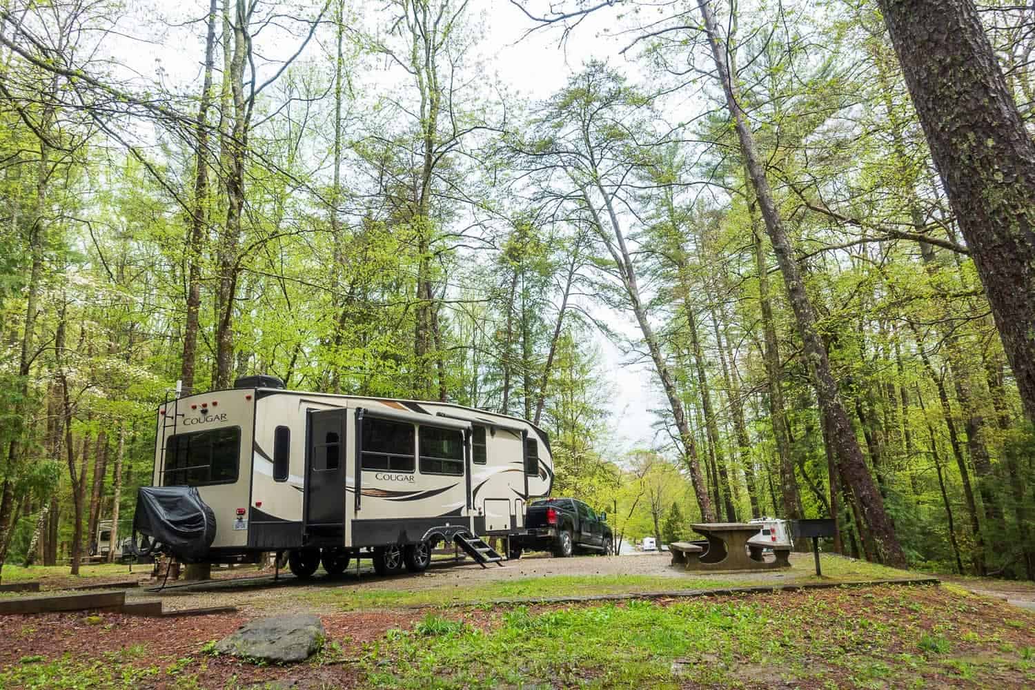 full-time-rv-living Vogel State Park Campsite in Blairsville, Georgia