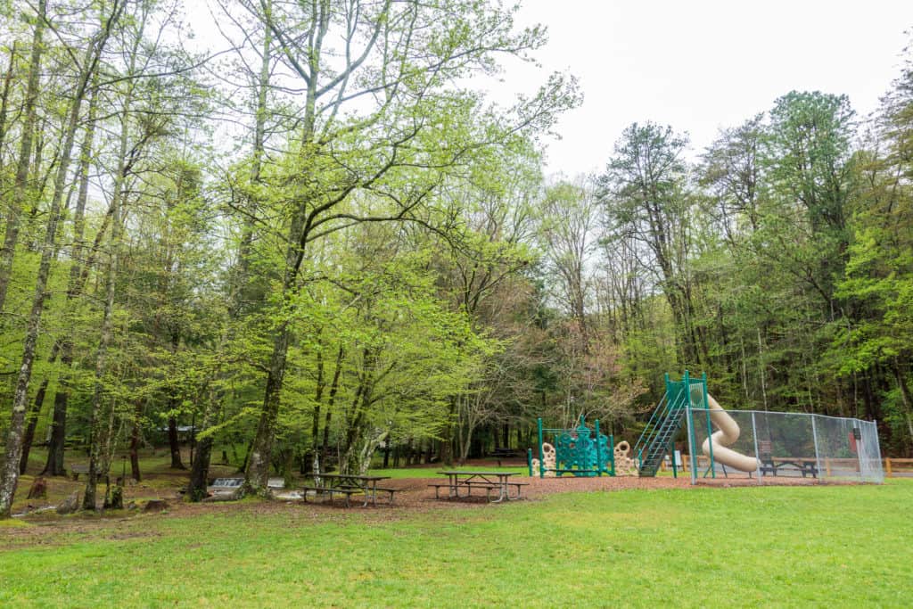 Vogel State Park Playground