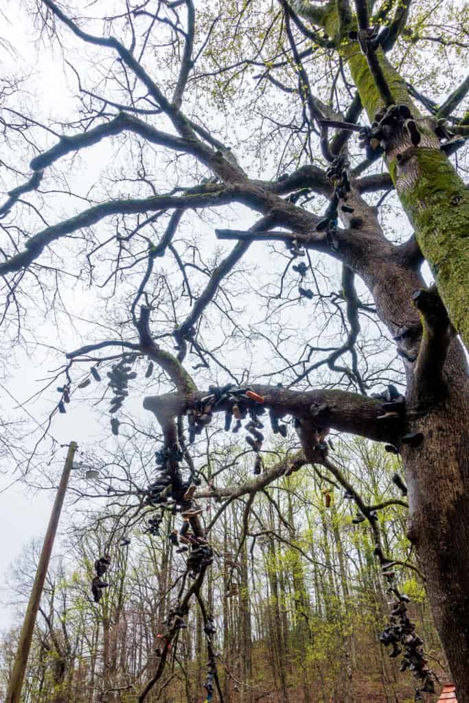 Mountain Crossings Shoe Tree