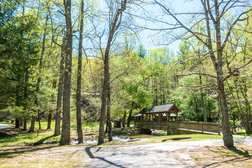 Vogel State Park Bridge