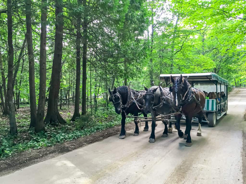 Getting around on Mackinac Island with a horse carriage