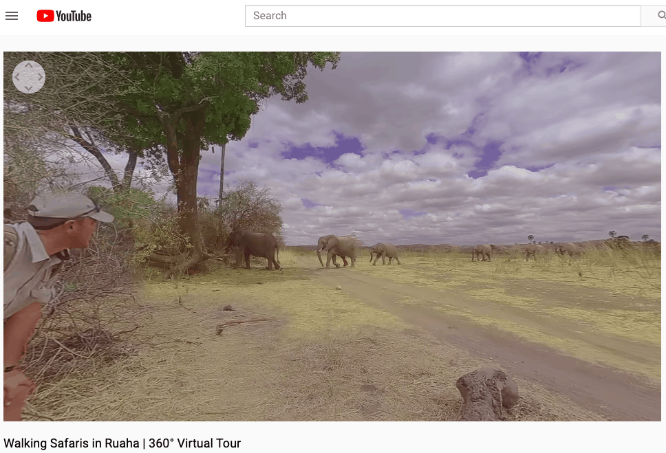 Virtually travel on an African Safari from Home