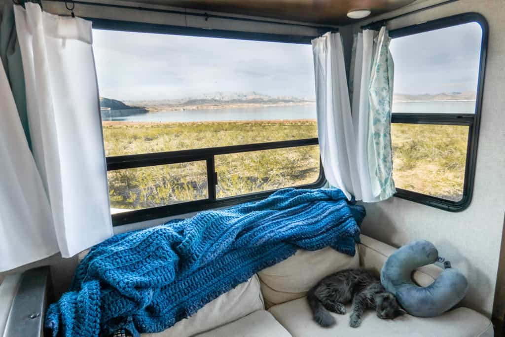 Cat Relaxing in the RV