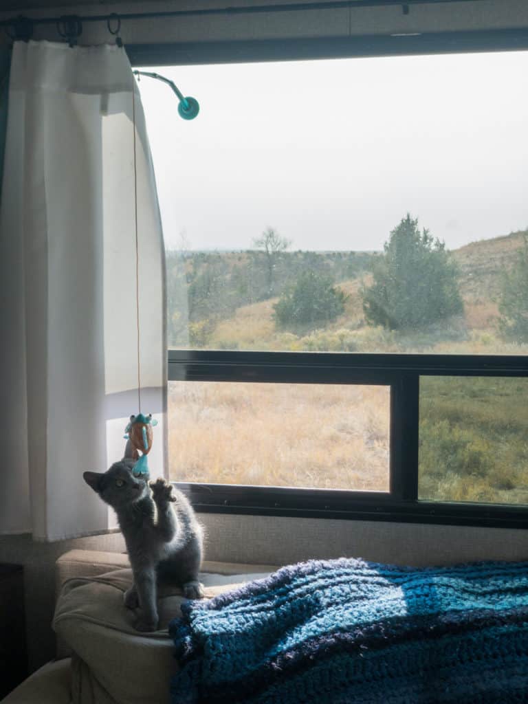 Dakota in the camper while boondocking in North Dakota