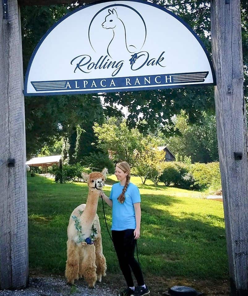 Rolling Oak Alpaca Ranch