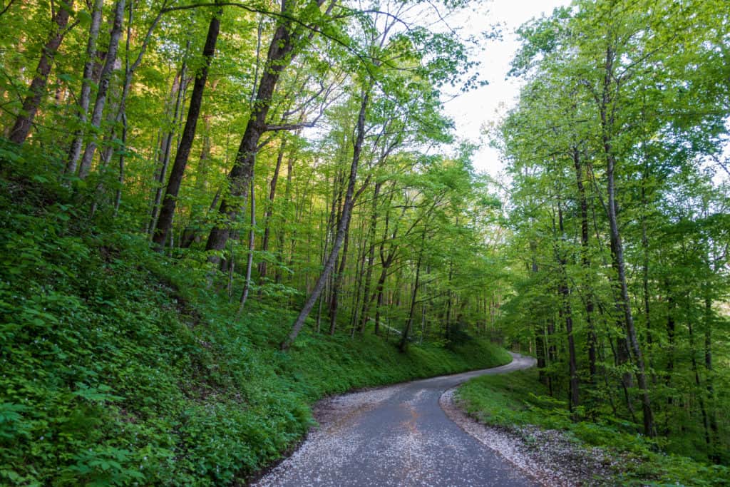 Smoky-Mountains-Itinerary Roaring Fork Motor Nature Trail in Great Smoky Mountains National Park