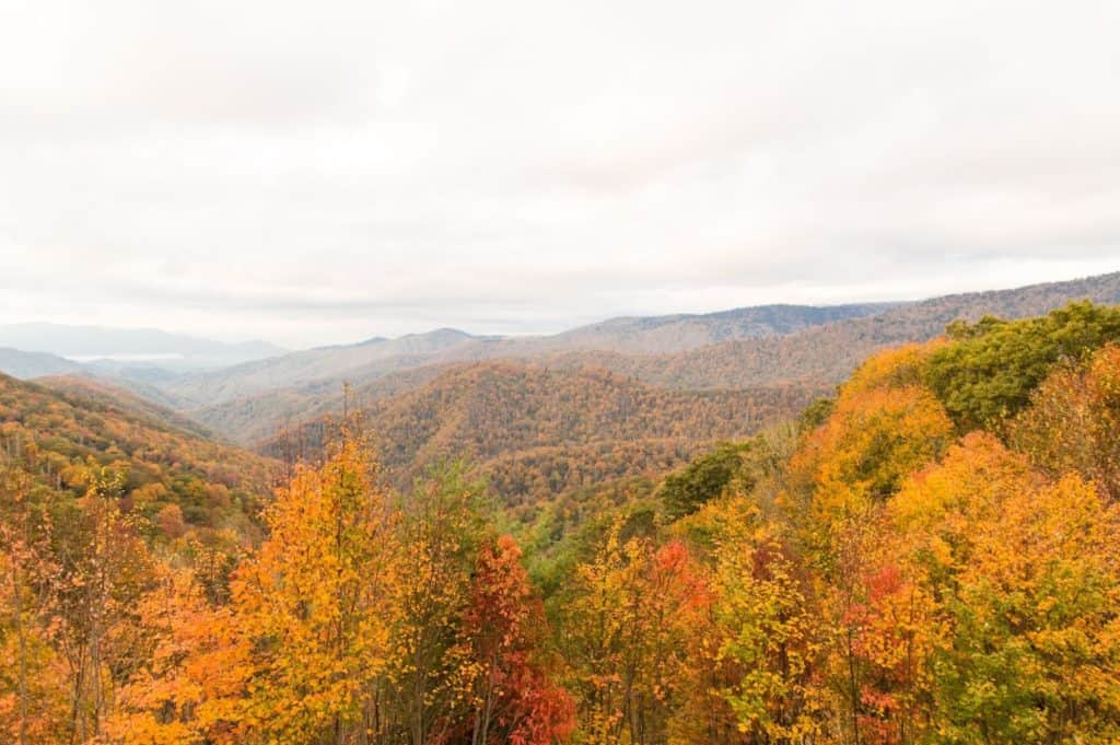 The Smoky Mountains in fall