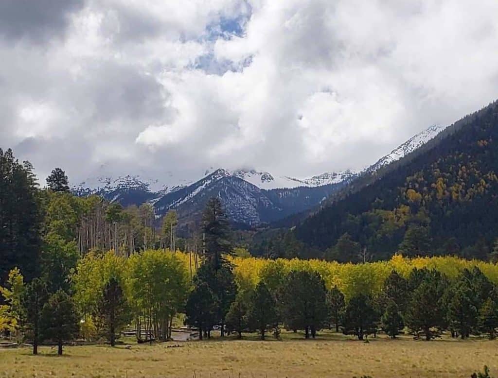 local's guide to flagstaff arizona Lockett Meadow in Flagstaff Arizona