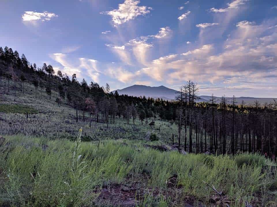 Kendrick Peak in Flagstaff Arizona