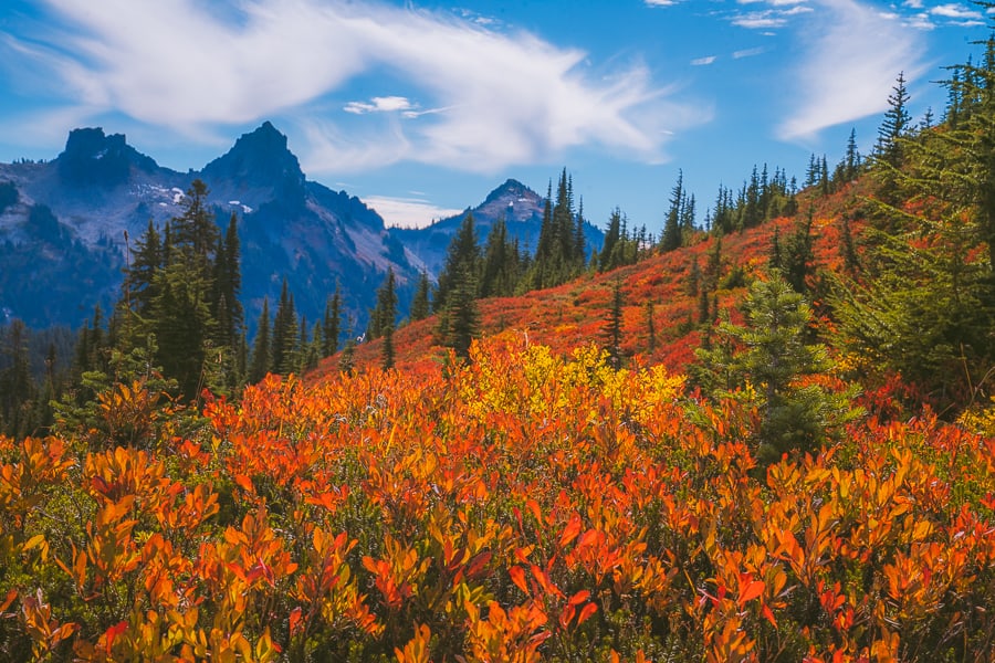 Mount Rainier National Park