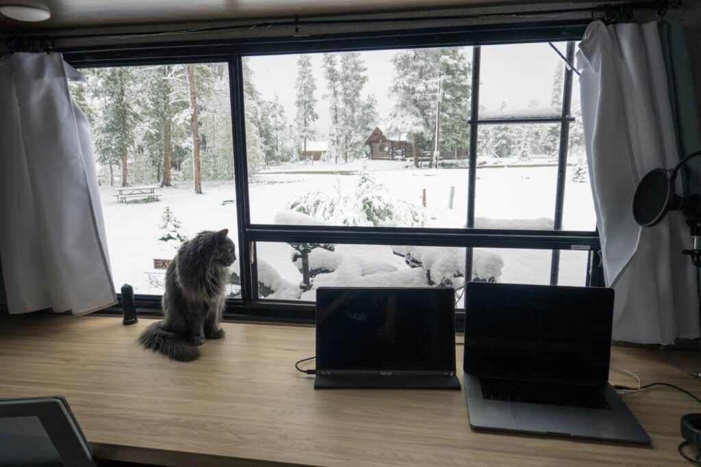 Cindy and Barrett's cat looking out their RVs window at the snow