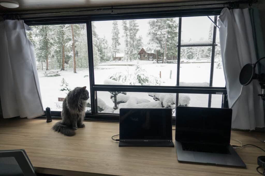 RV must-haves Cindy and Barrett's cat looking out their RVs window at the snow