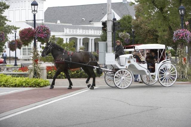 Frankenmuth Horse-Drawn Carriage Ride