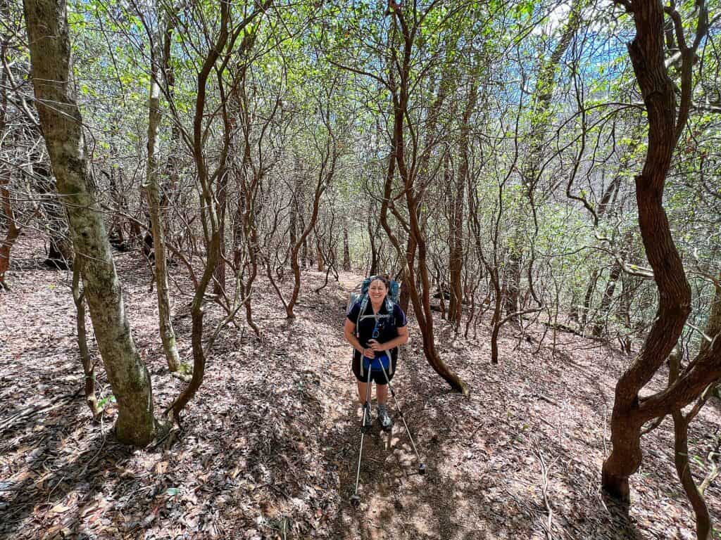 Cindy hiking on the Appalachian Trail