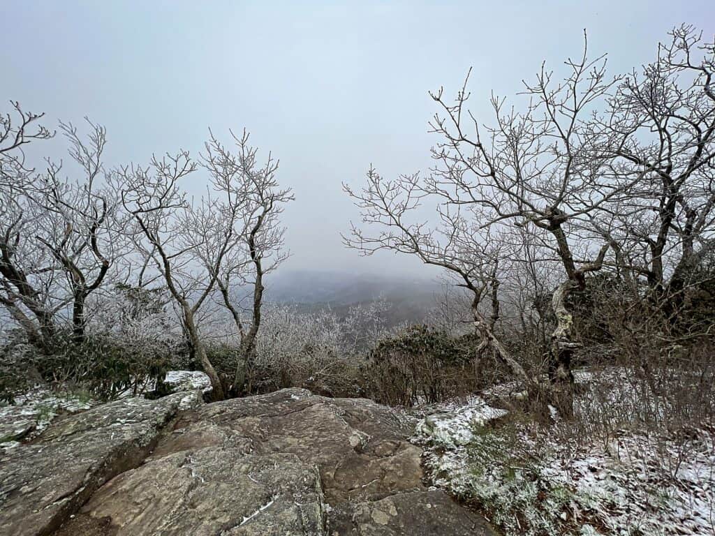 Foggy view on the Appalachian Trail