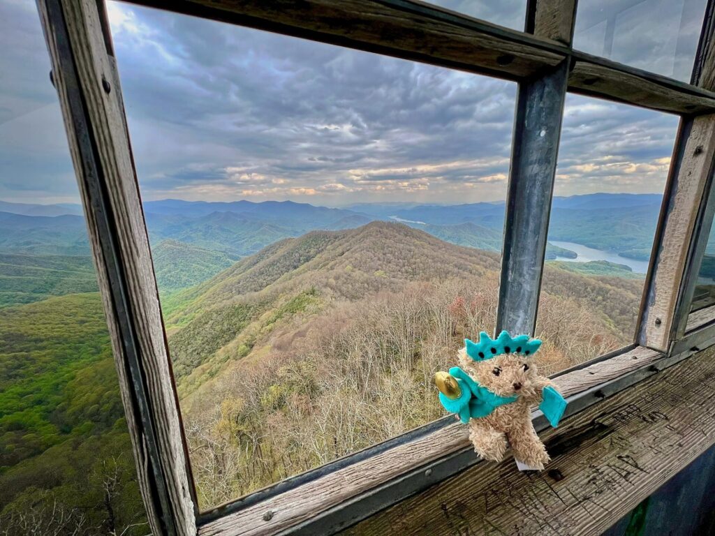 hiking the appalachian trail view from firetower