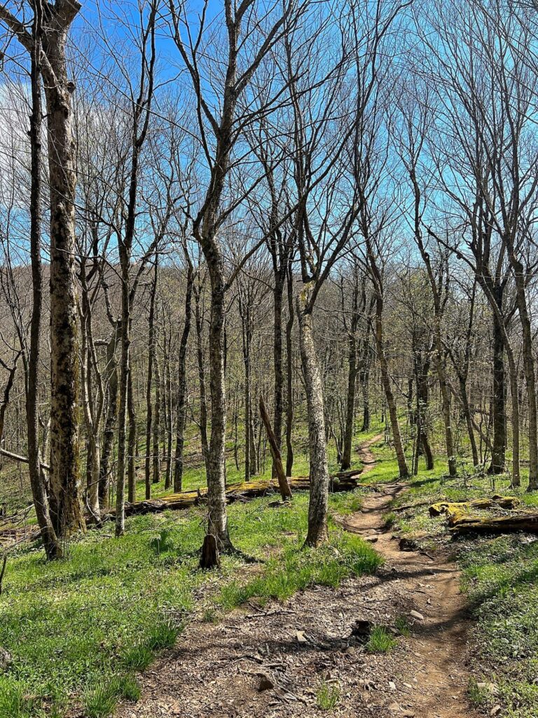hiking the appalachian trail Hiking the AT