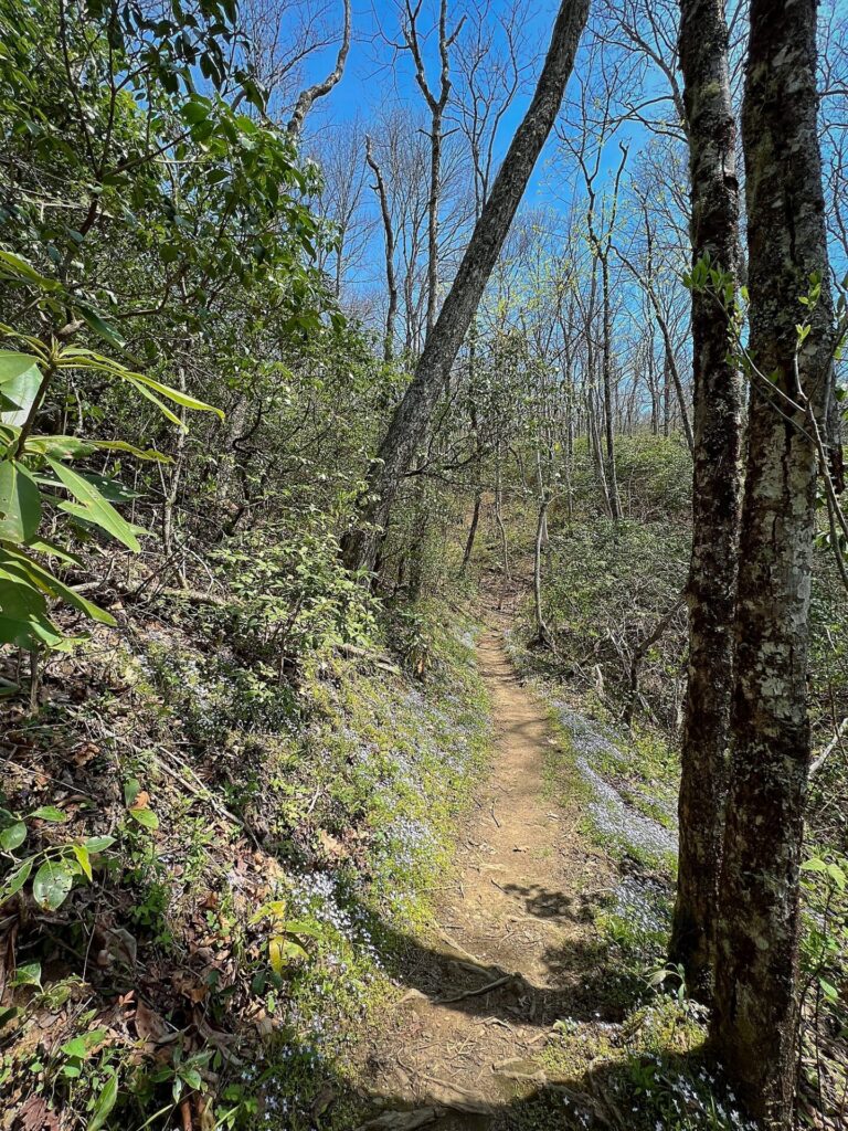 hiking the appalachian trail Hiking the AT