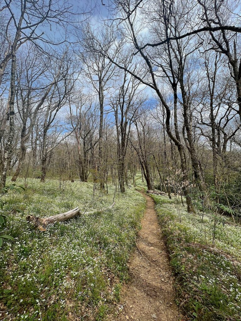 hiking the appalachian trail Hiking the AT